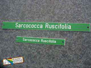 Plaatjes met planten en bomennamen